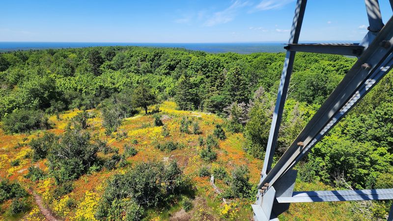 Feldtmann Lookout Tower - Eagle Harbor Township