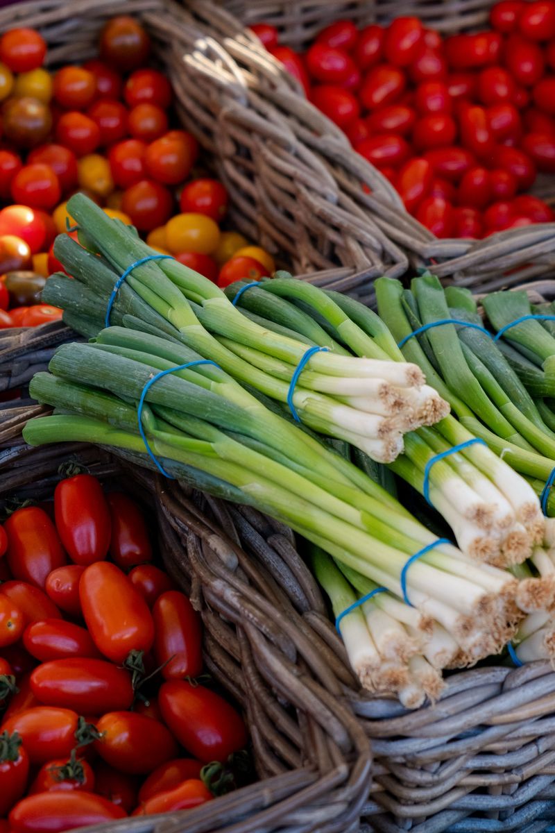 Yellow Springs Farmers' Market, Yellow Springs