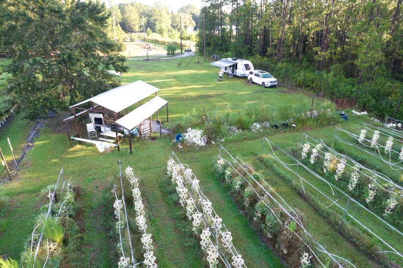Overnight Stays and Farm Events