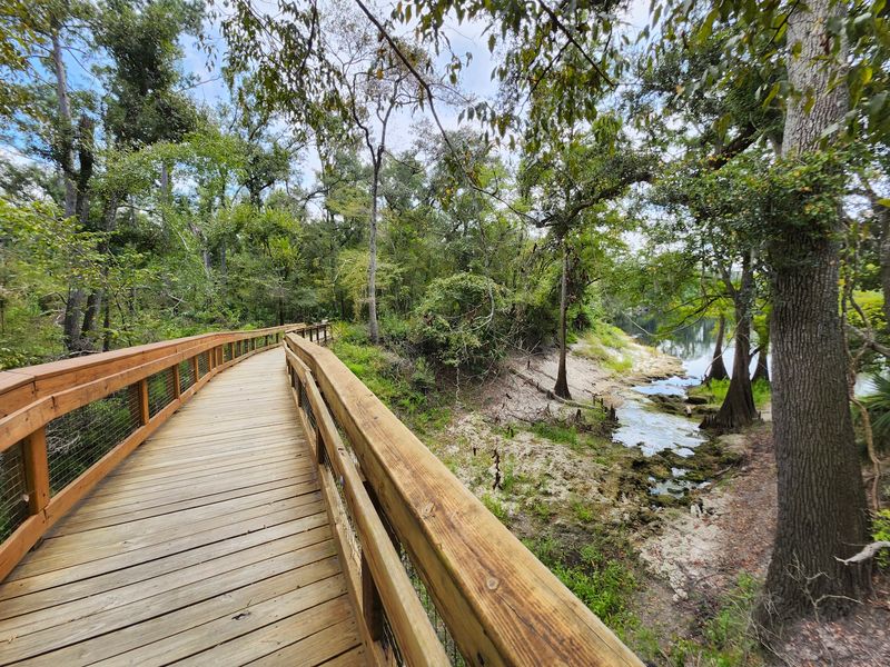 Suwannee River Trail - Live Oak