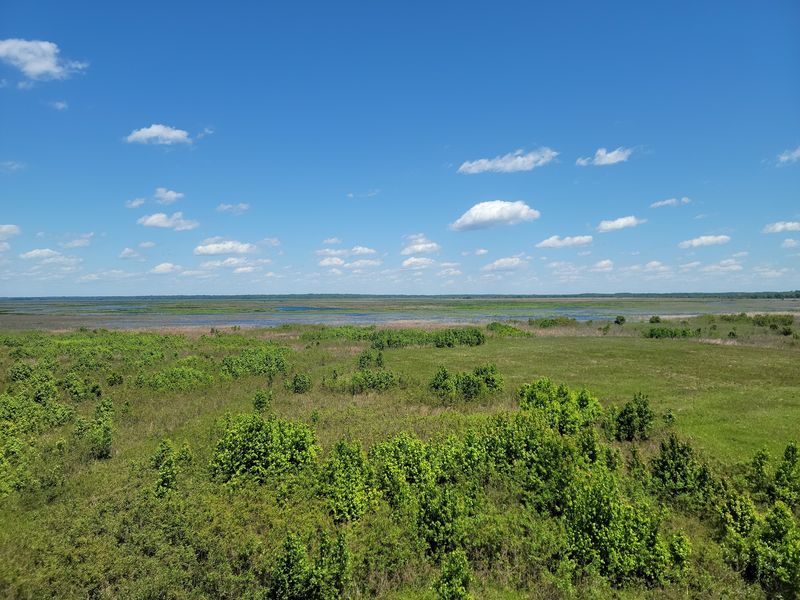 Paynes Prairie Preserve State Park - Micanopy