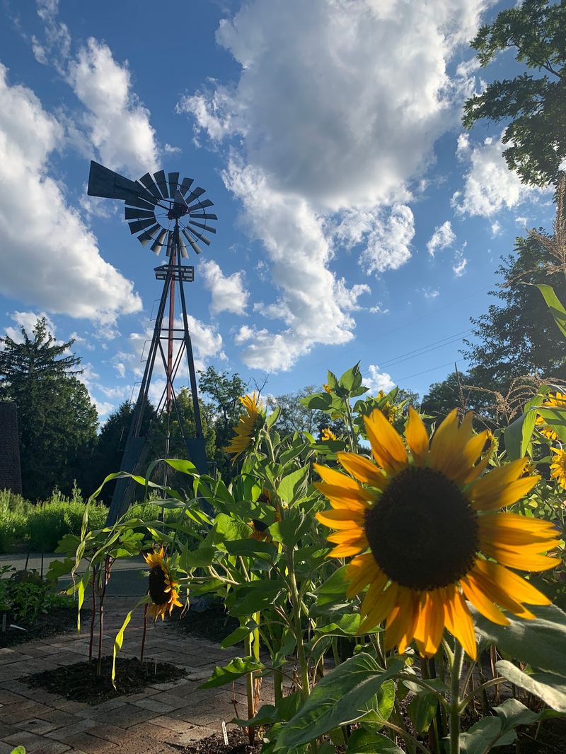 Walk Through Inniswood Metro Gardens - Westerville