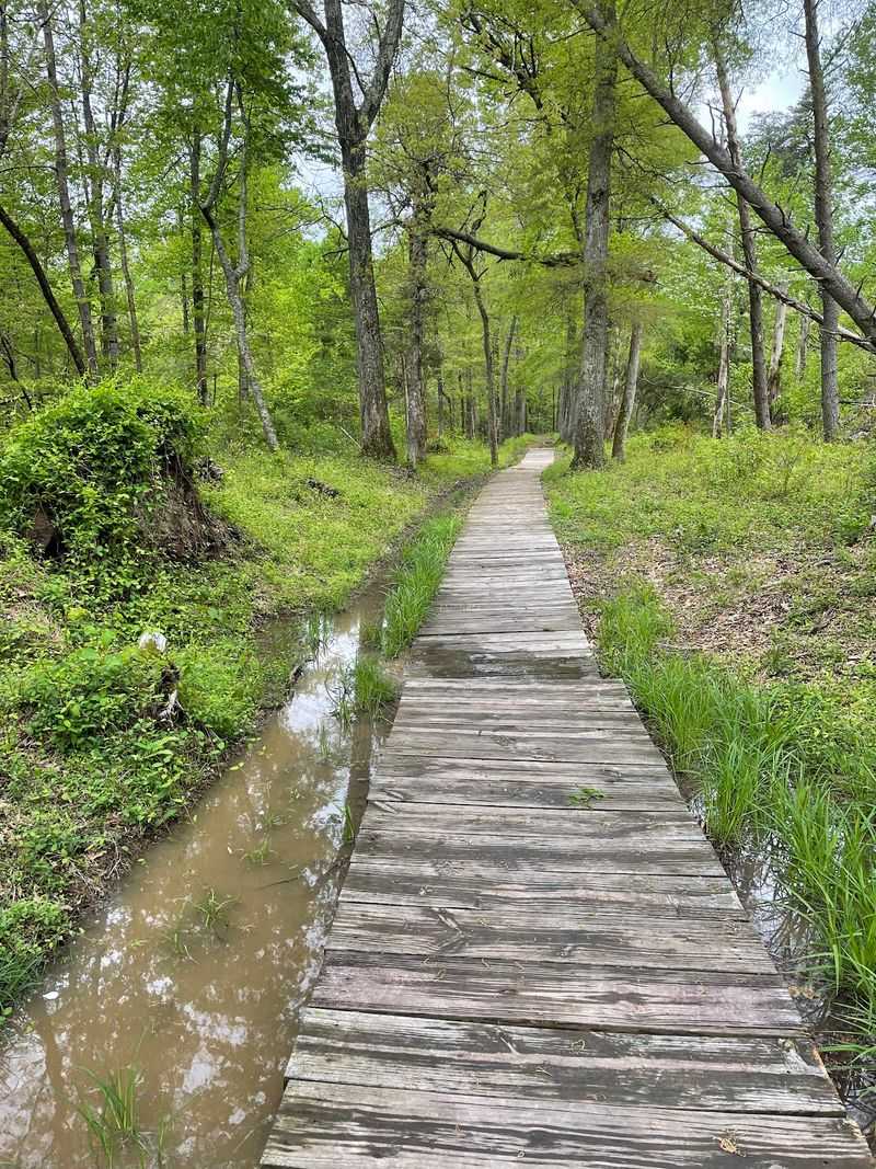 See the Unfinished Railroad That Became a Confederate Defensive Line