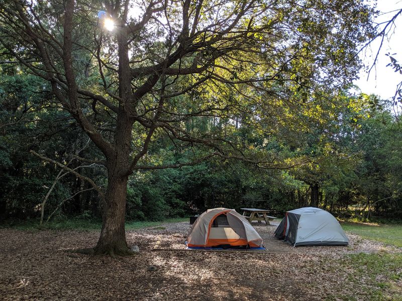 Simple Camping Works Best Here