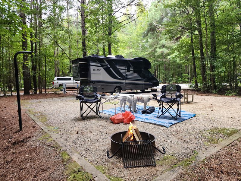 Camping With Space, Privacy, and Comfort