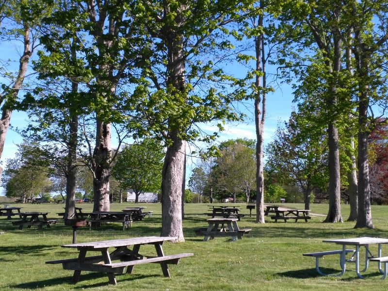 Picnic Spots Where Ocean Views Come Free