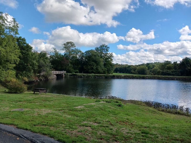 Picnics, Quiet Benches, and Community Feel