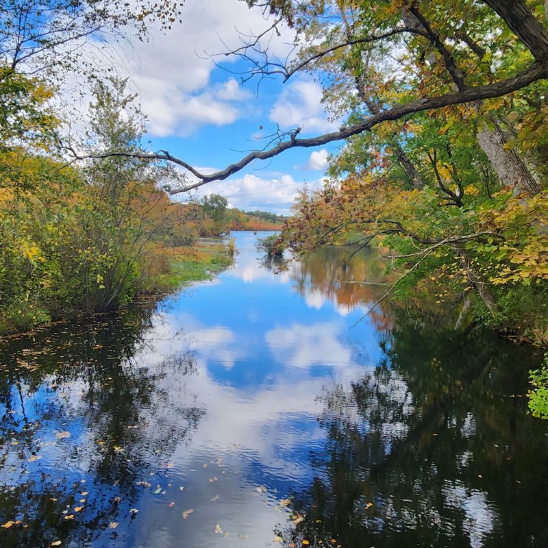 Killens Pond State Park, Felton, Kent County