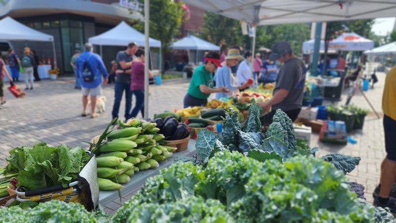 Canton Farmers' Market, Canton