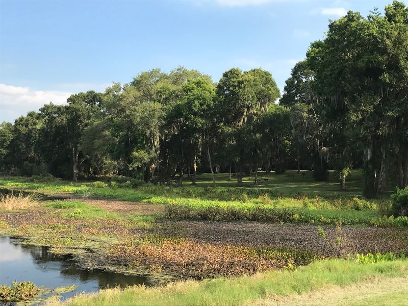 Brazos Bend State Park - Needville