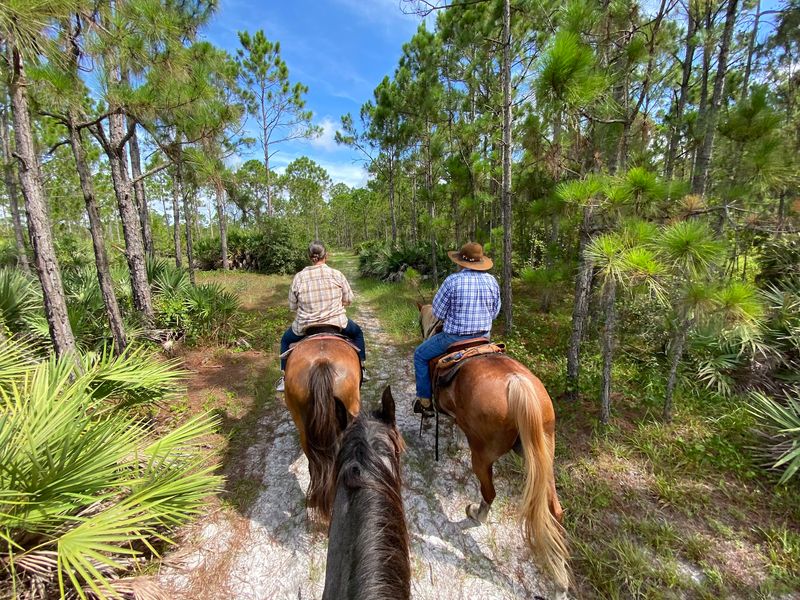 Wagon Wheel Horse Farm - Okeechobee