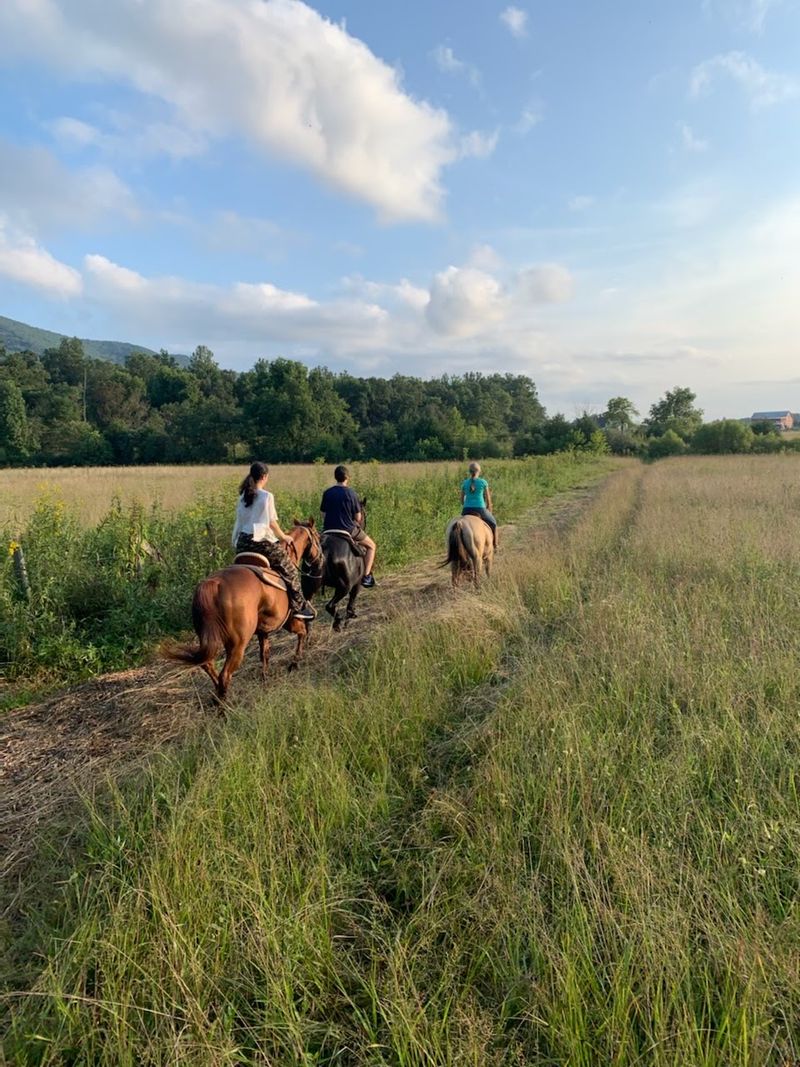 Secret Passage Ranch, Fort Valley