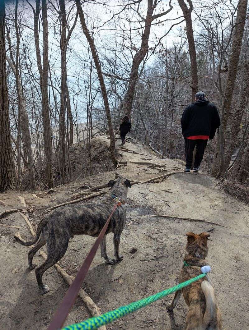Seven Bridges Trail