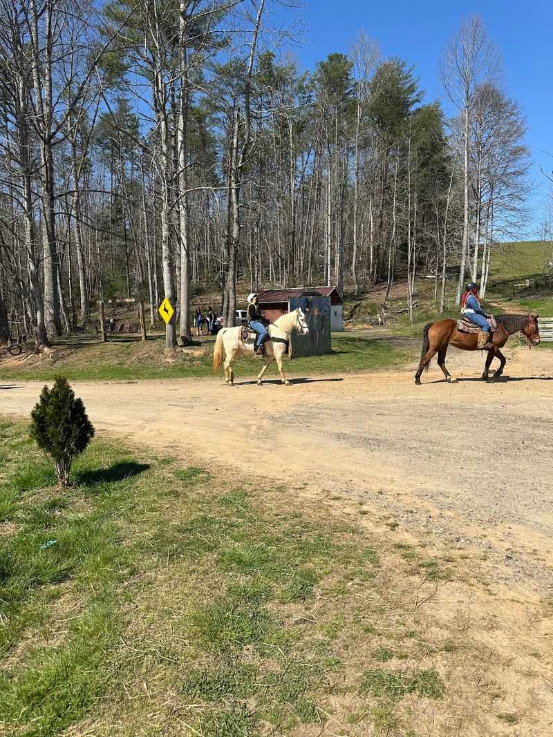Enjoy a Guided Ride Without Needing Years of Experience