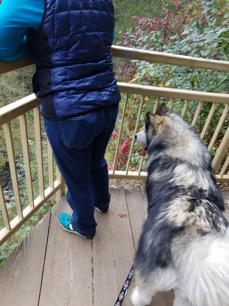 Burkhardt Trail Head