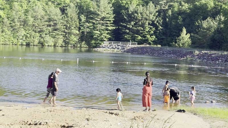 Hickory Run State Park Beach (Sand Spring Lake)
