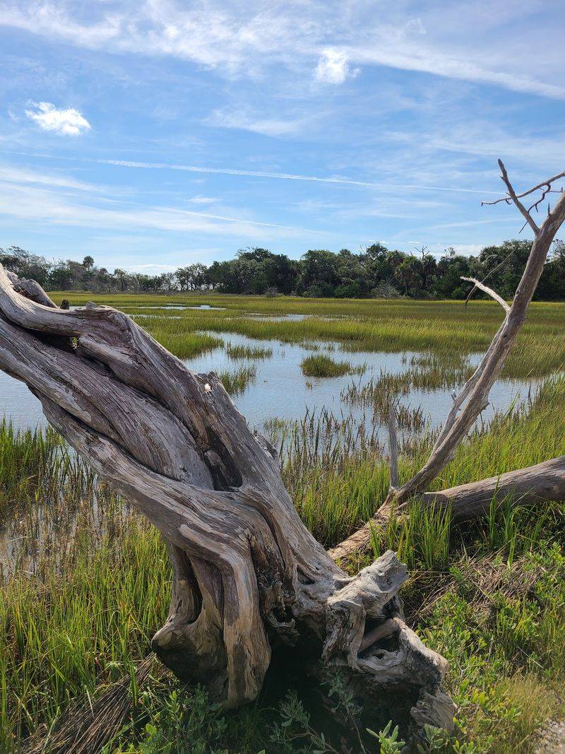 Botany Bay Heritage Preserve Beach Walk, Edisto Island, Charleston County