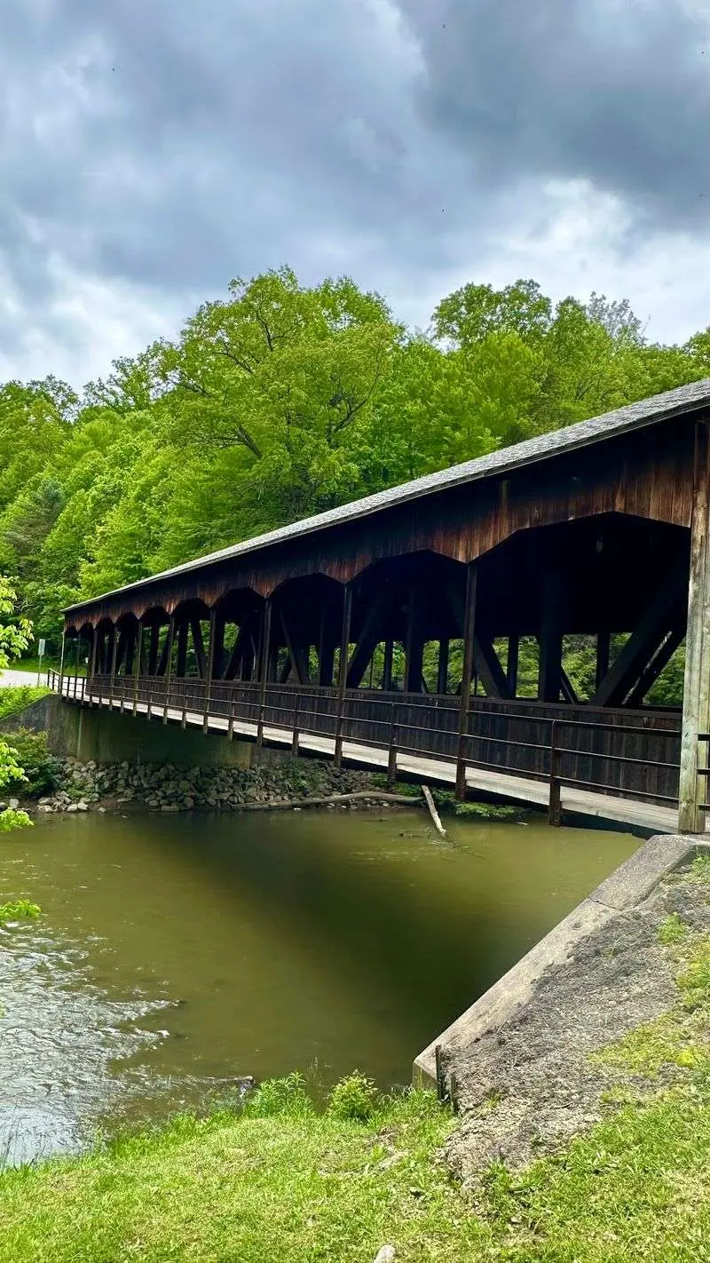 A Forest Drive That Fills The Whole Day At Mohican