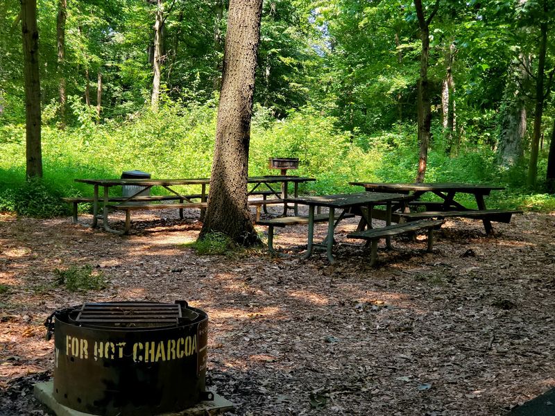 Neshaminy State Park - Bensalem