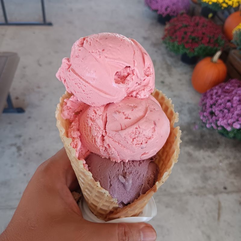 Hopkins Farm Creamery
