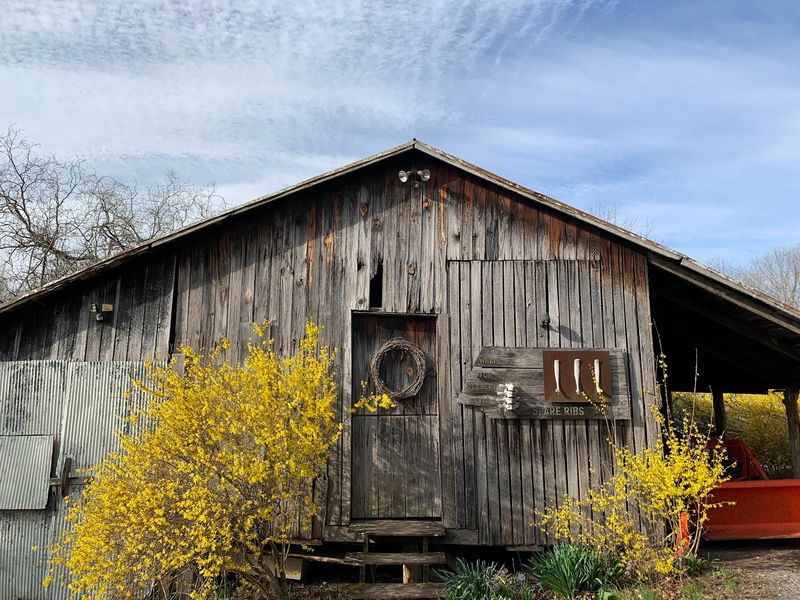Boxerwood Nature Center and Woodland Garden - Lexington