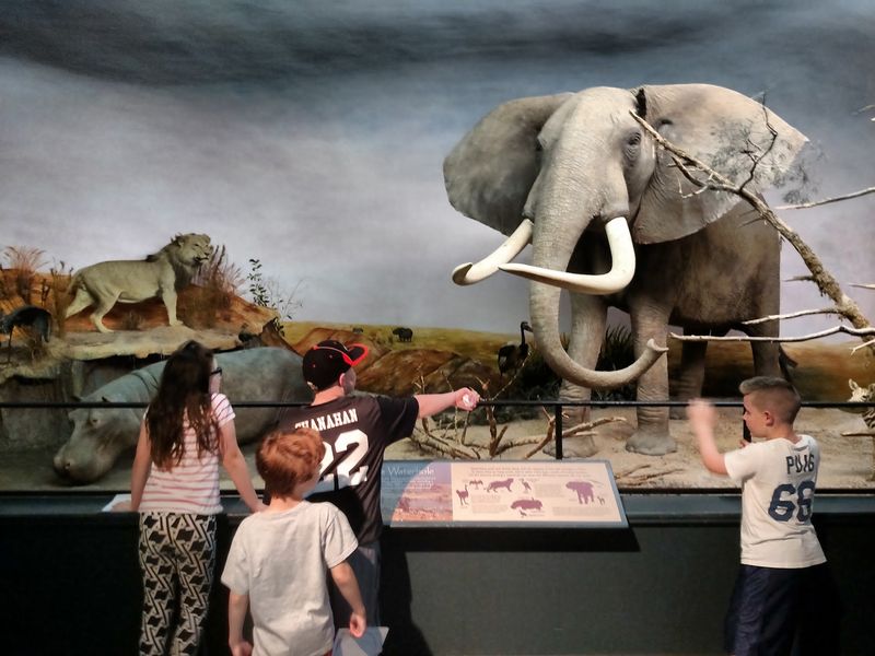 Museum of York County