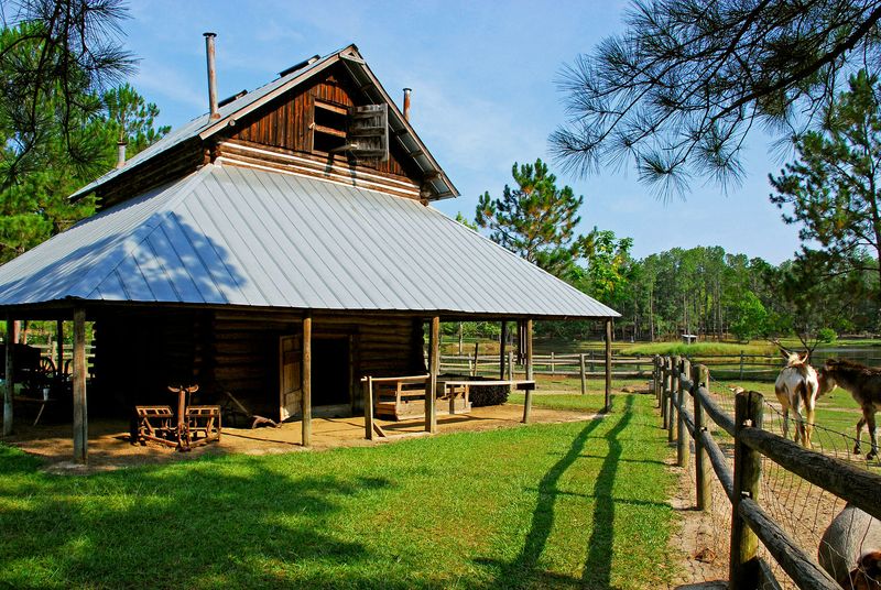 General Coffee State Park - Nicholls