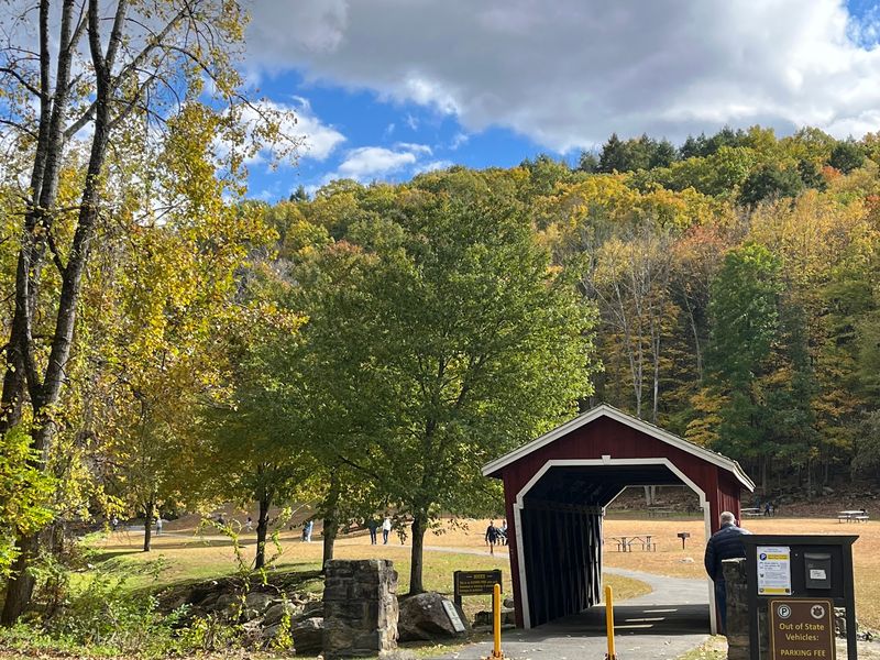 A Charming Covered Bridge That Frames Perfect Photos