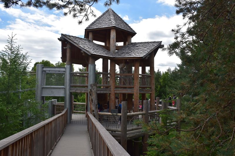 A Better Nature Trip for Families