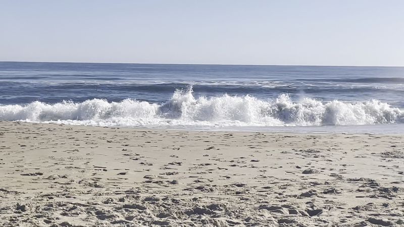 Sandbridge Beach