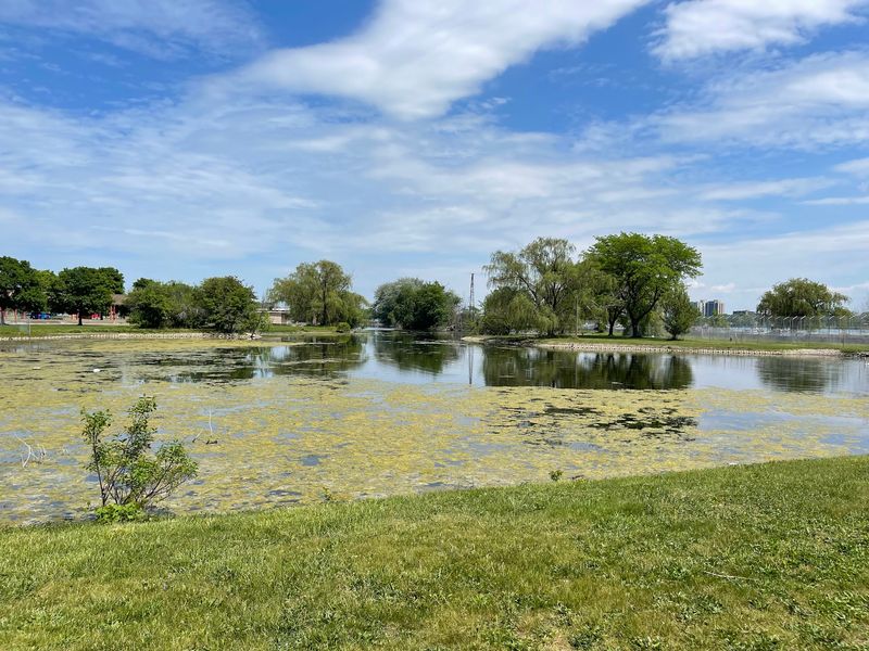 Turn the Aquarium Visit Into a Full Belle Isle Adventure