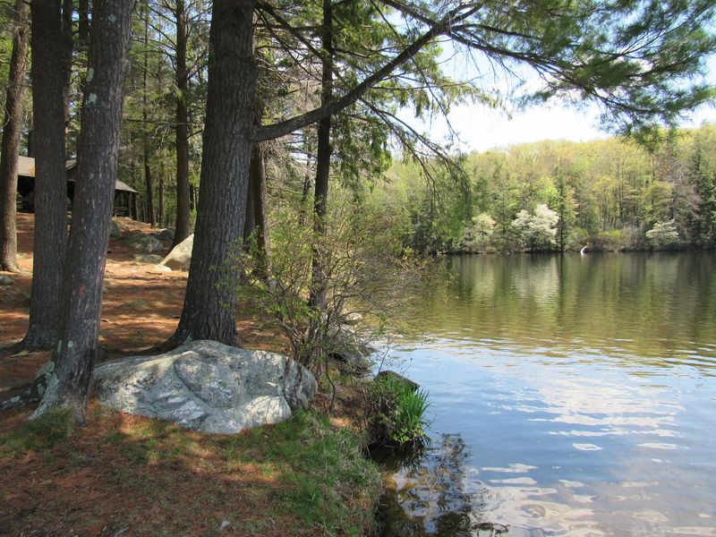 Leave the Forest Better Than You Found It