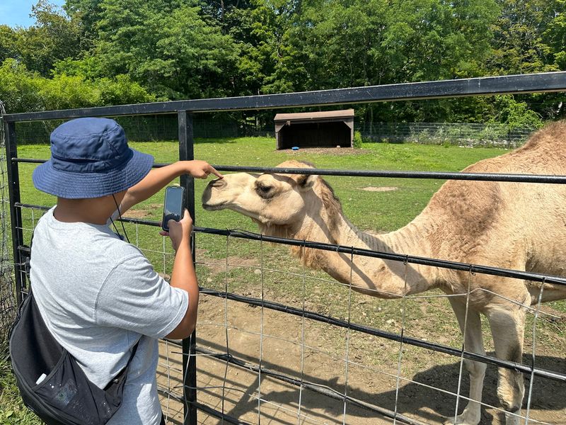 Take Incredible Family Photos Throughout the Park