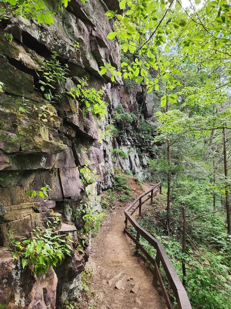 Cloudland Canyon State Park, Rising Fawn, Walker County,