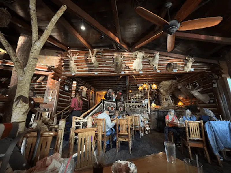 A Log Cabin With Trees in Its Bones
