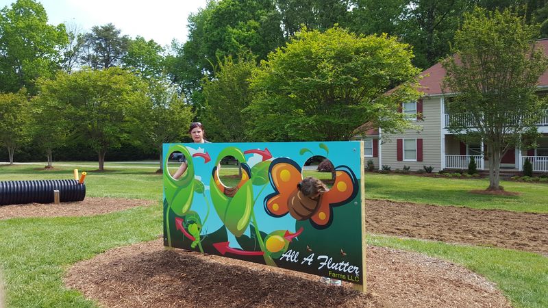 Step Into a Real Working Butterfly Farm