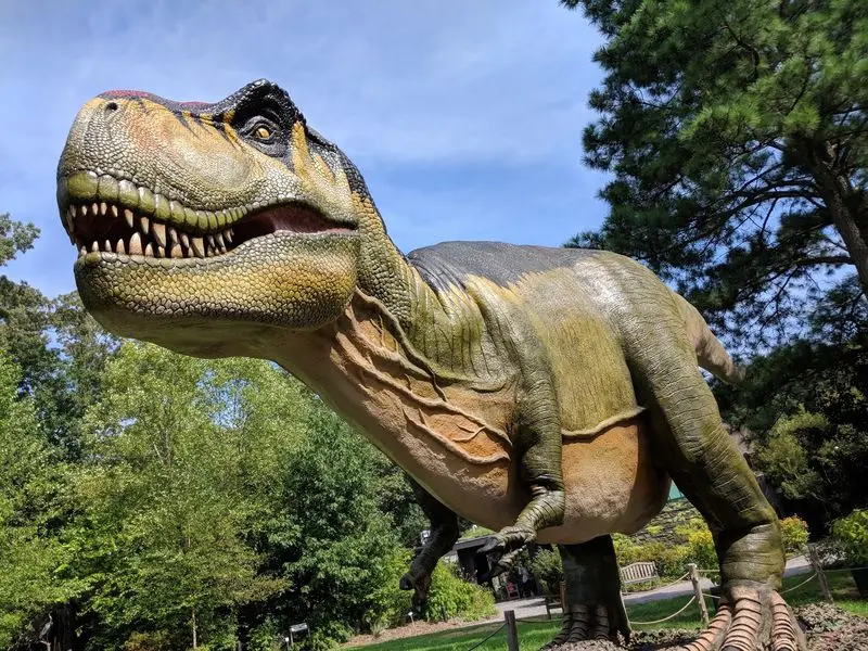 Get Face-to-Face With a T. Rex