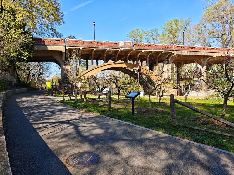 Relax at Piedmont Park - Atlanta