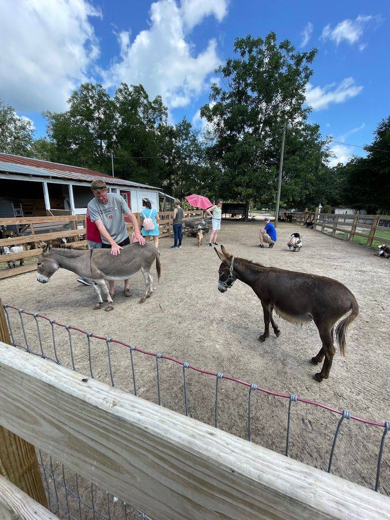 Fifth Day Farm