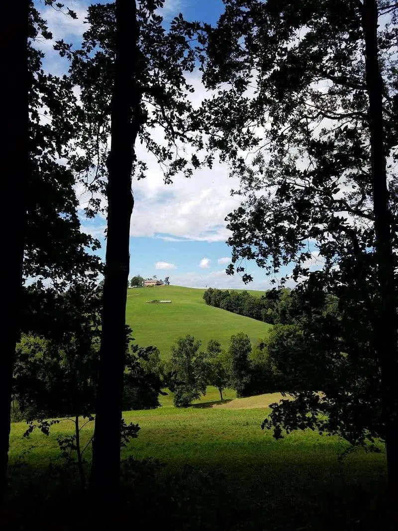 Ancient Trees and Quiet Steps - Dysart Woods in Belmont County, Belmont County