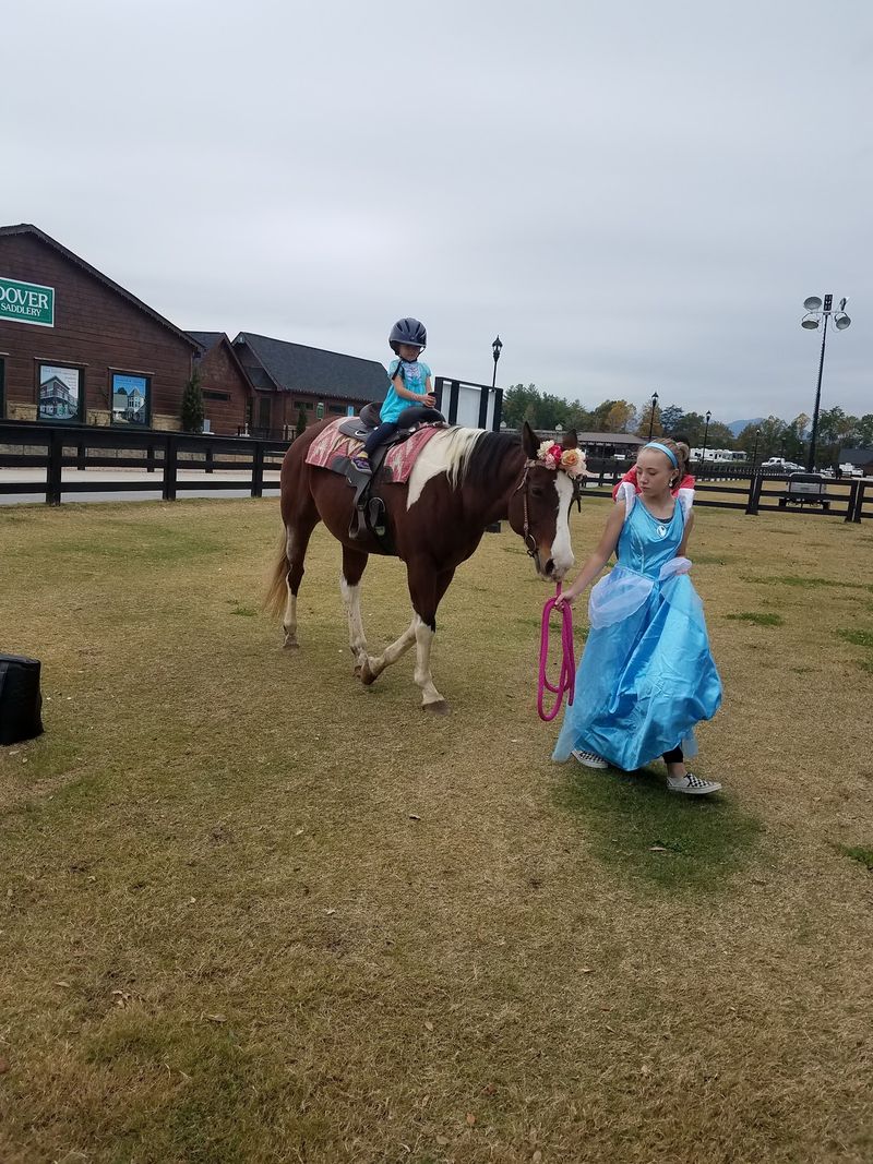 Take a Trail Ride Through the Blue Ridge Foothills