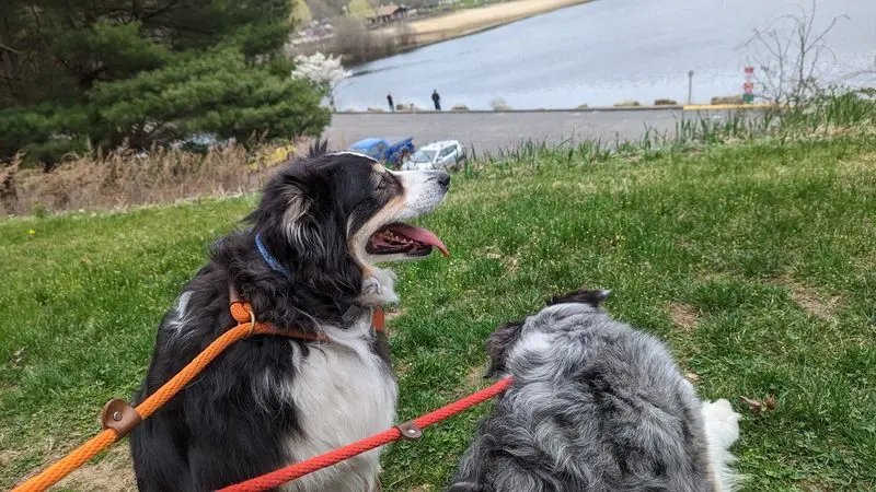 An Easy Path for Curious Noses - Housatonic Valley Rail-Trail - Monroe