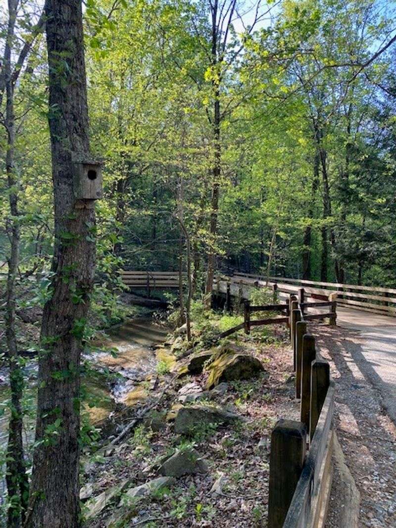 Amicalola Falls Loop Trail - Amicalola Falls State Park
