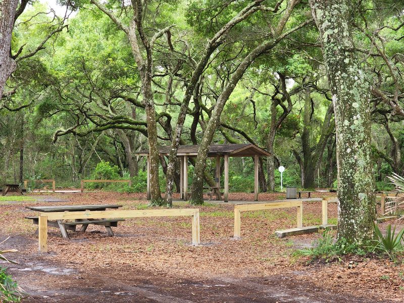 Big Talbot Island State Park &ndash; Jacksonville