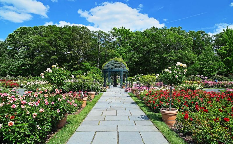 New York Botanical Garden - Bronx
