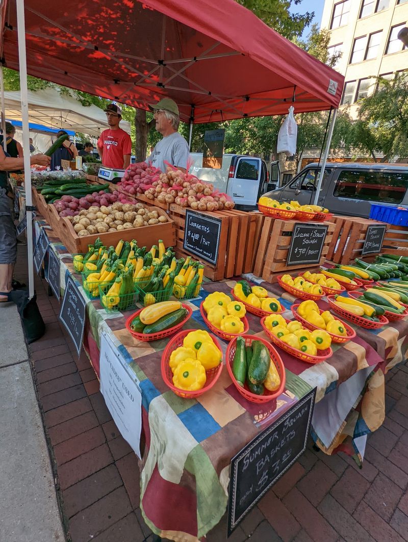 Circle of Color at Dane County Farmers Market - Madison