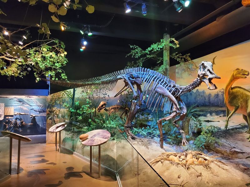 North Carolina Museum of Natural Sciences - Raleigh