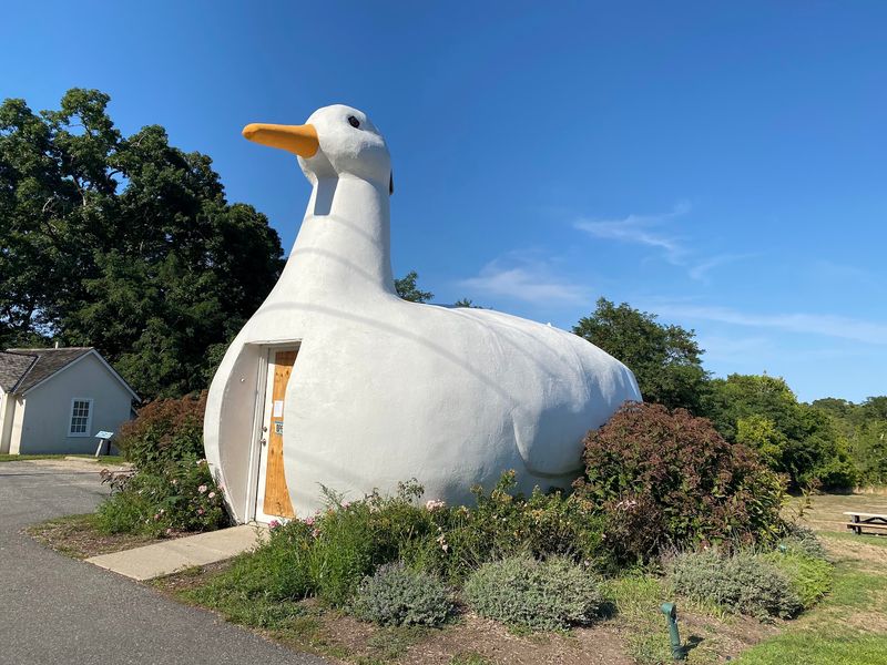 The Big Duck - Flanders