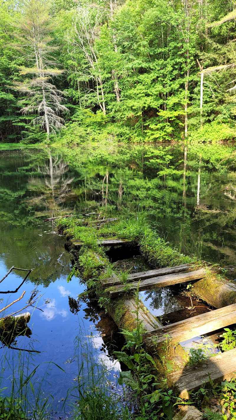 Lenox, Berkshire County,