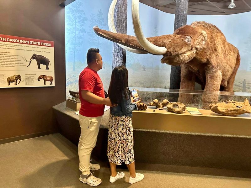 South Carolina State Museum